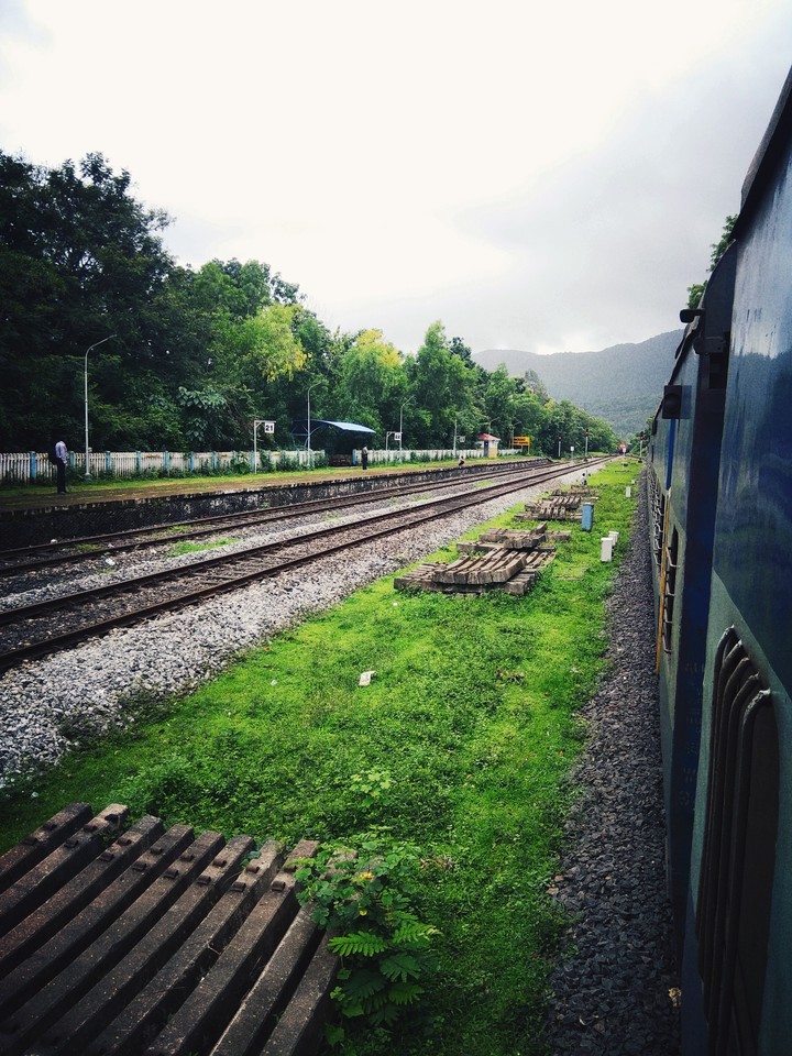 train in the nature