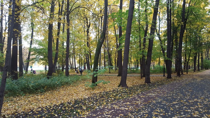 moscow, ostankino