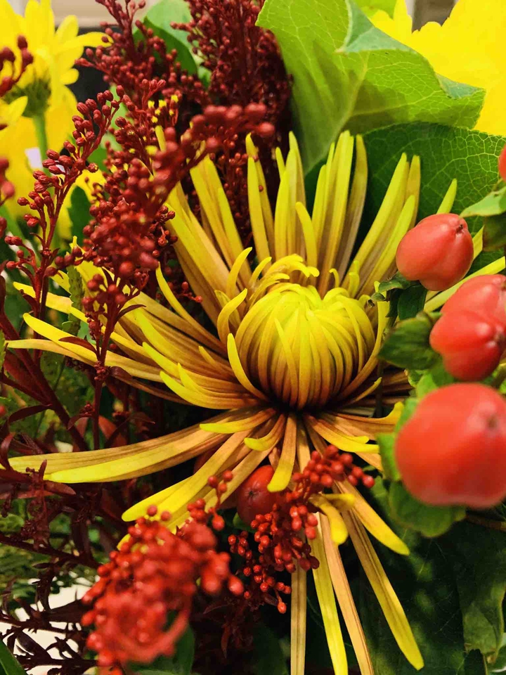 Flowers~