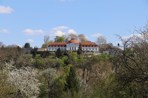 Marbach am Neckar