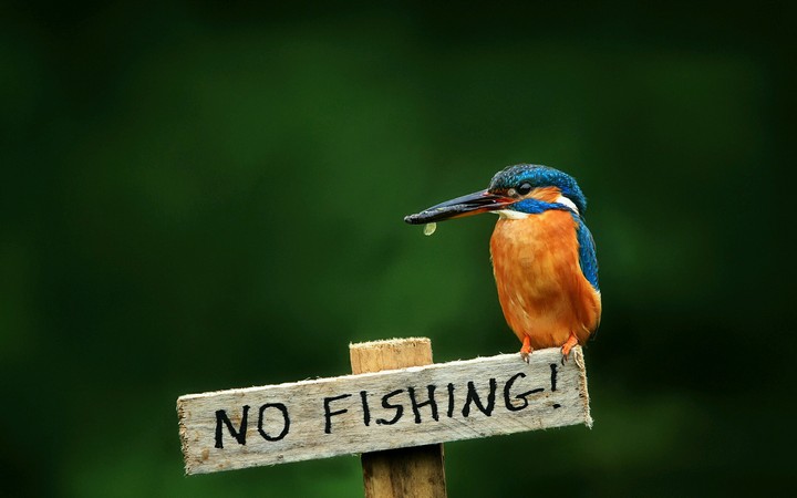 no fishing!
