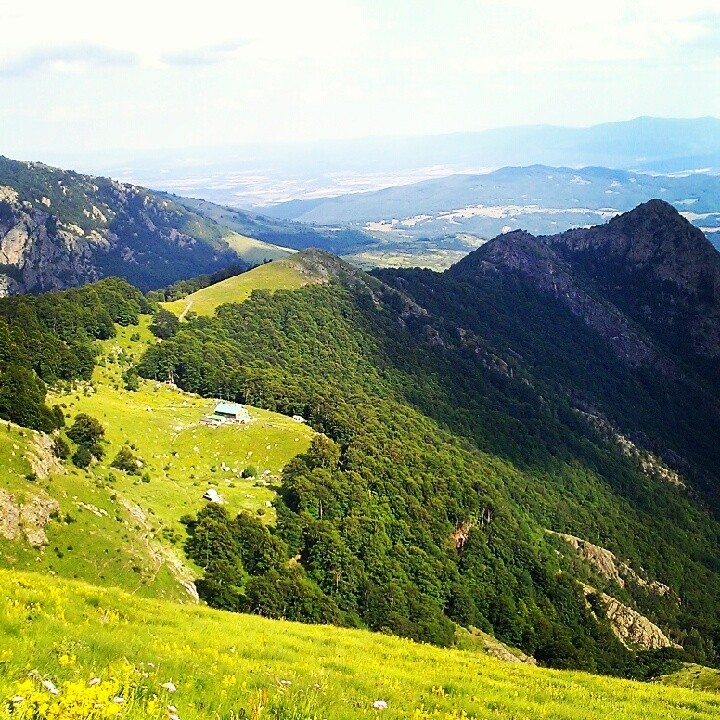 The green mountain