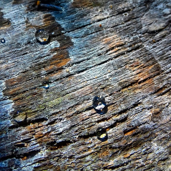Drops