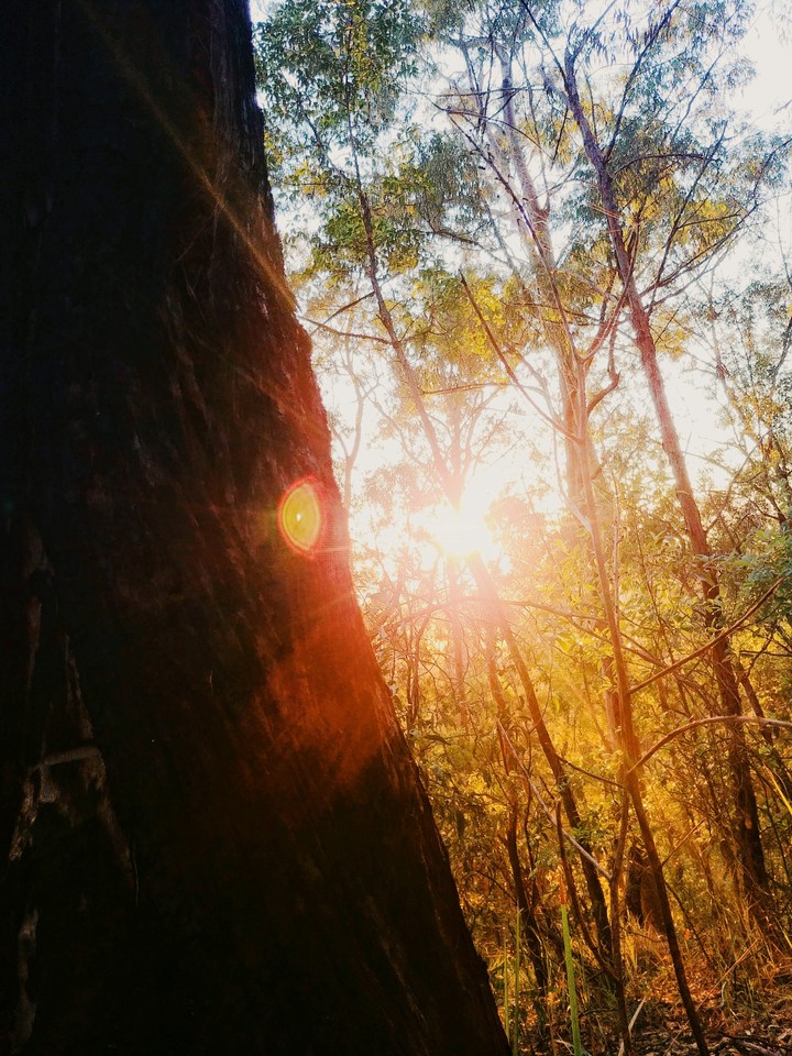 Sunrise!