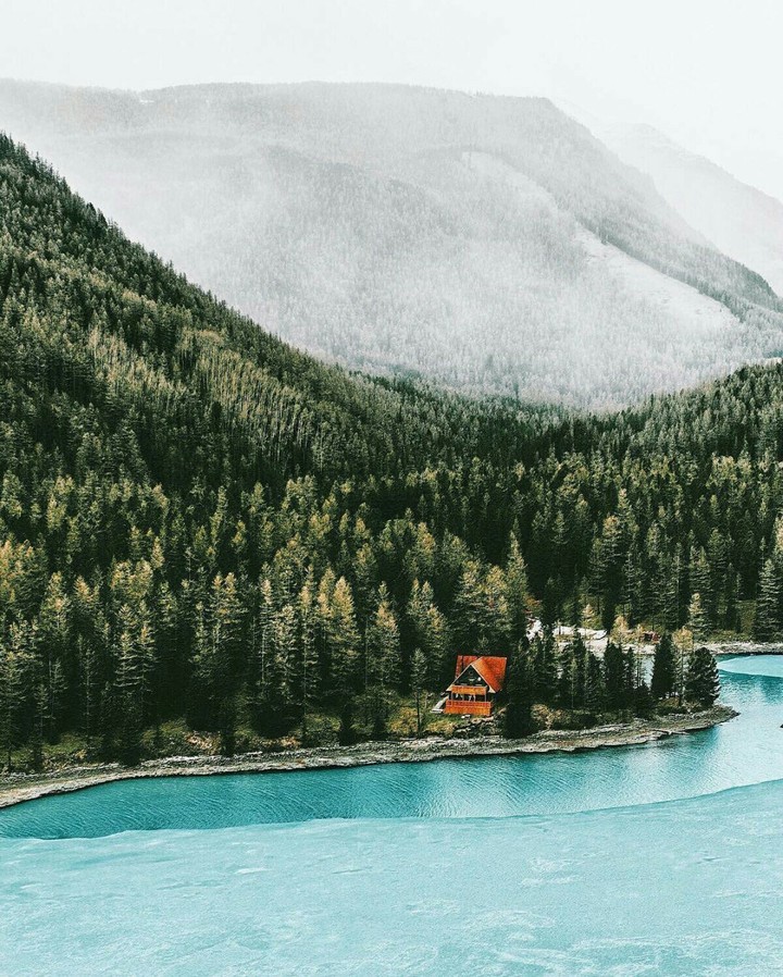 Nature