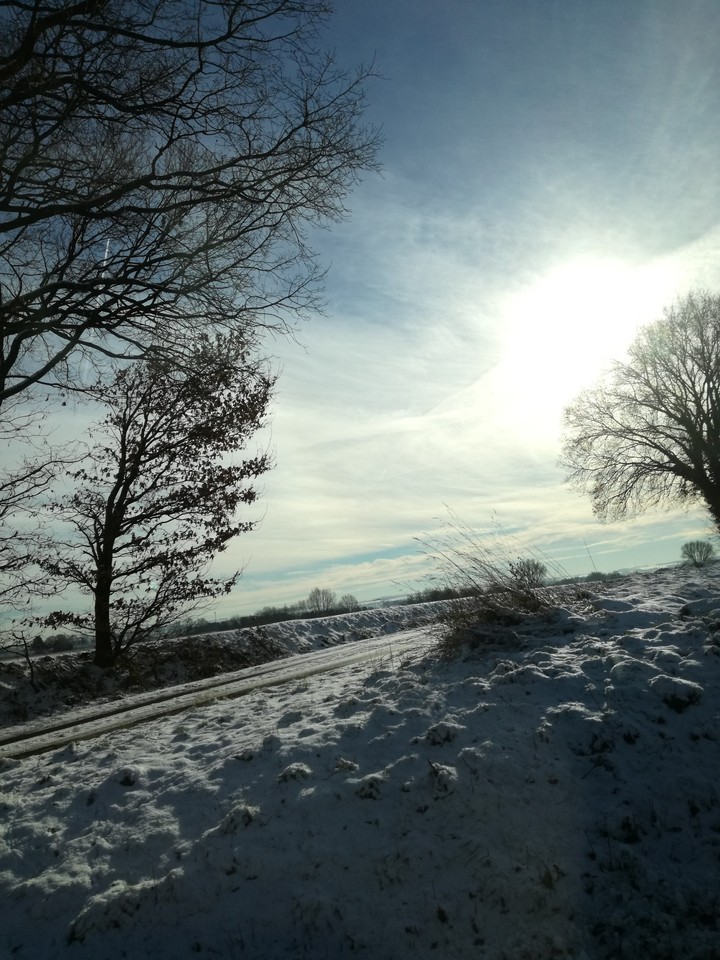 Winterday