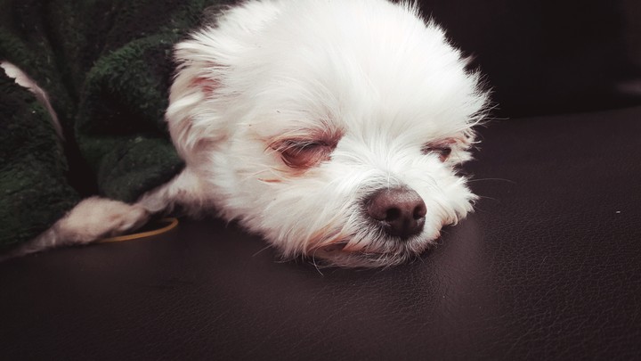 sleepy
