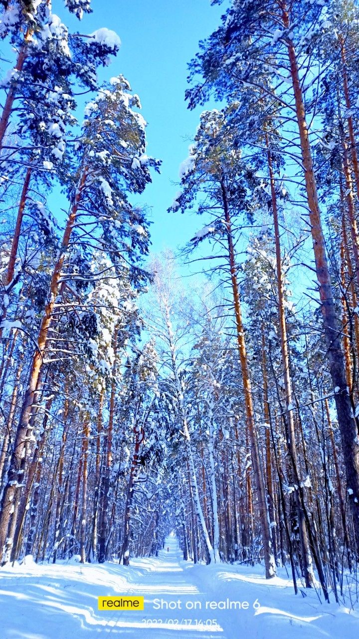 л