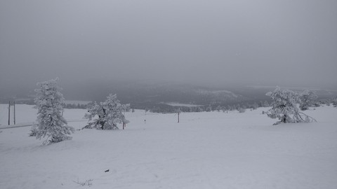 lapland