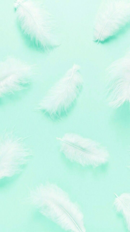 перья
