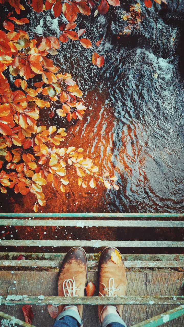 autumn