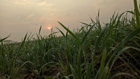sweet sunset♥♥