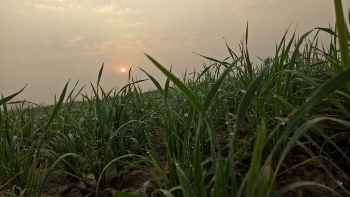 sweet sunset♥♥