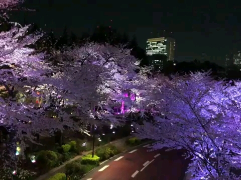 nightview❤Tokyo