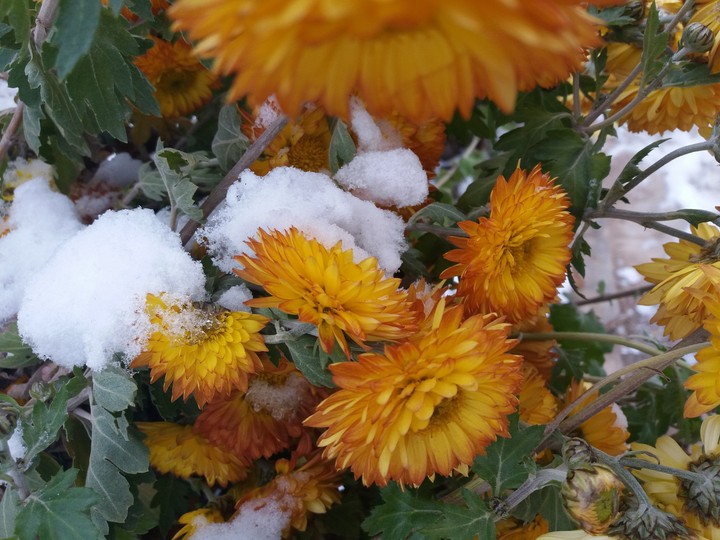 The sun under the snow