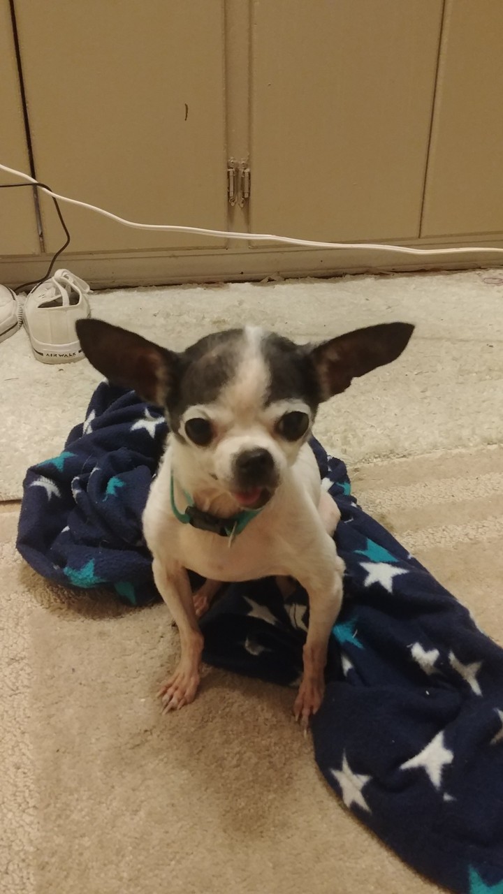 Yoda 2