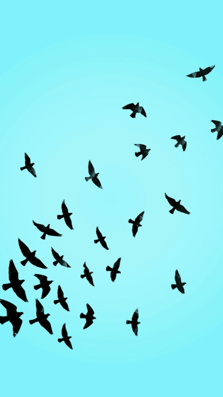 Freedom