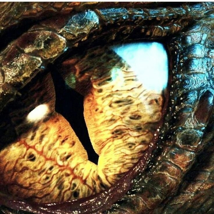 smaug eye