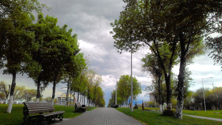 Samara