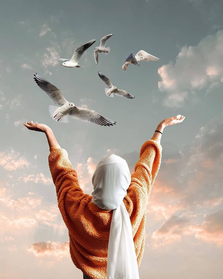 Freedom