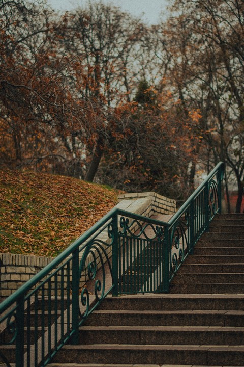 тапети handrail, twig