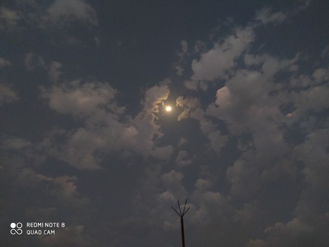 MOON