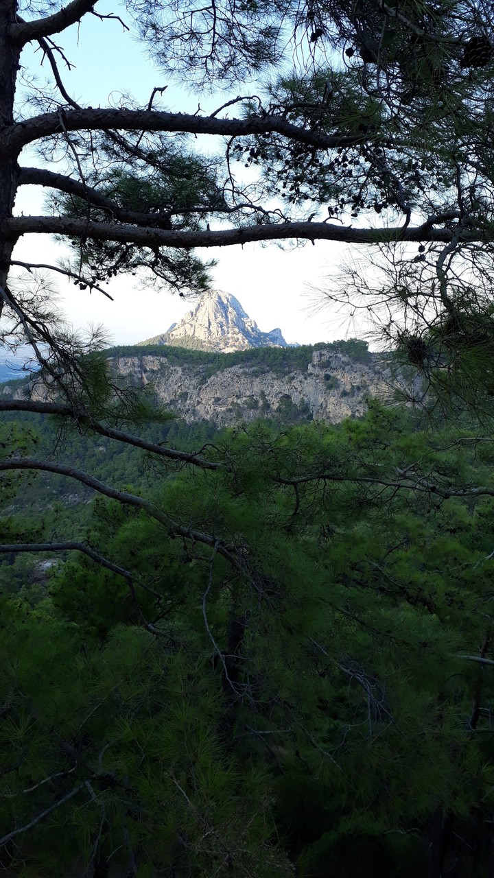 Mountain