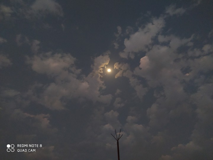 MOON