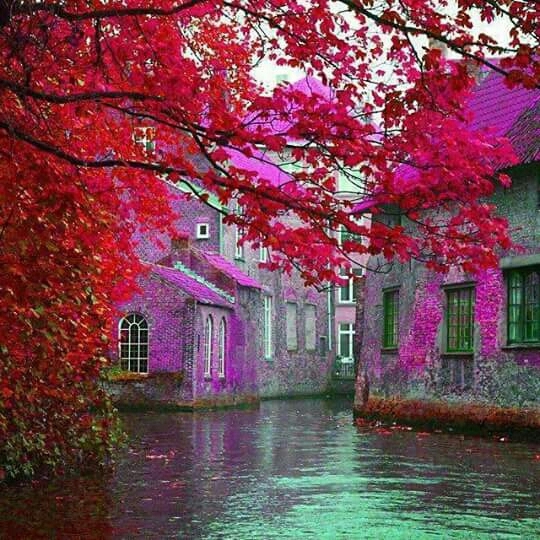 nature