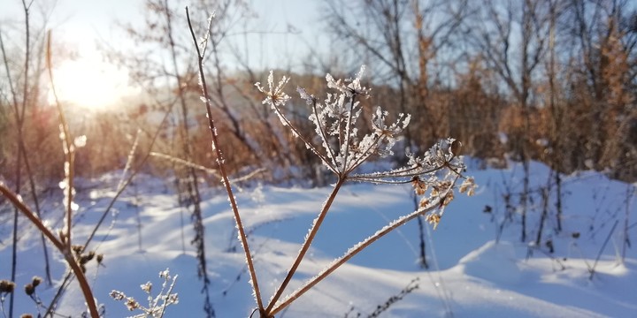 Winter