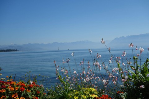 Lac Leman