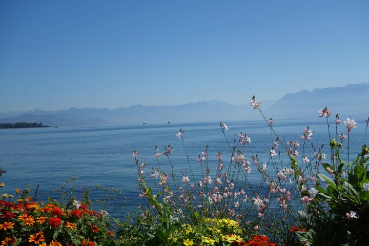 Lac Leman