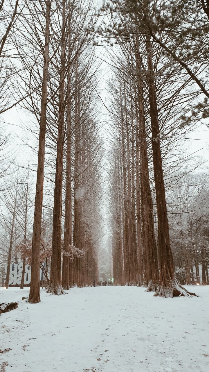 Winter in Korea