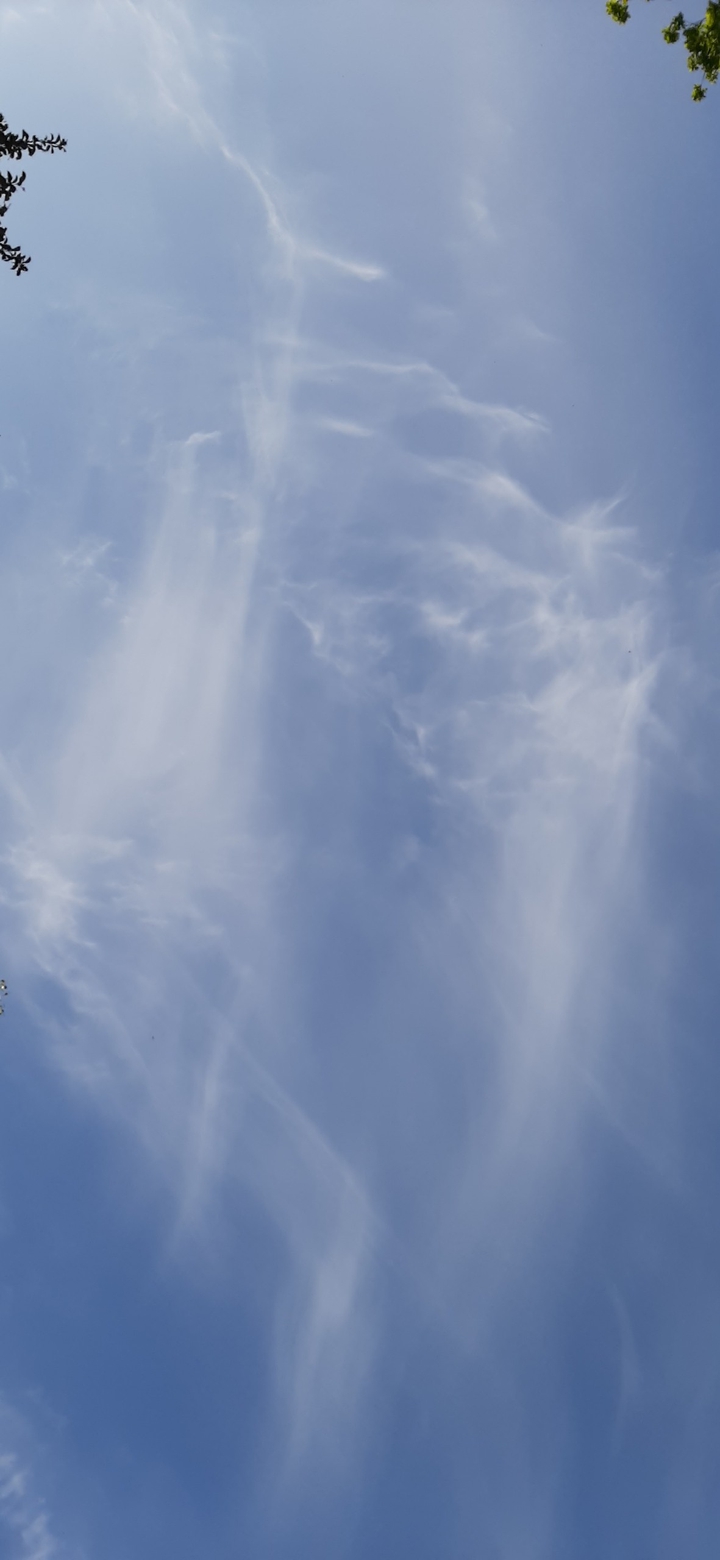 dragon cloud?