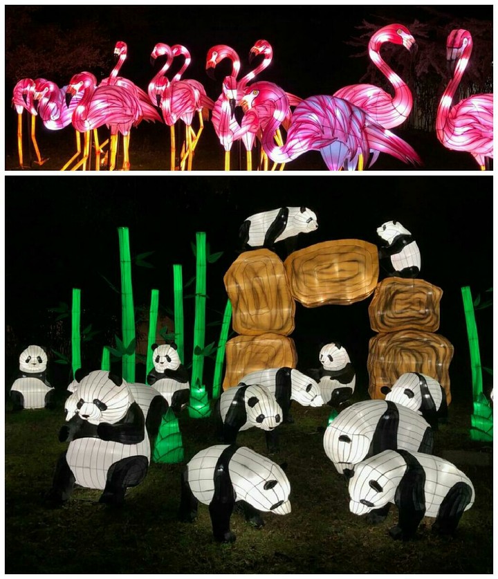 Paris -le jardin des plantes...