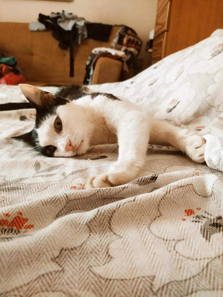 ^^Morning Streches^^