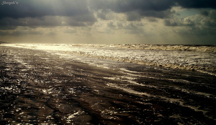 The cure for anything is salt water: sweat, tears or the sea
