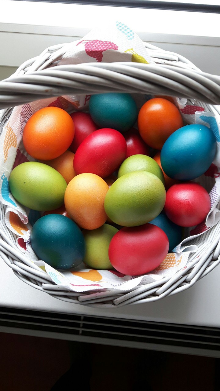 eggs