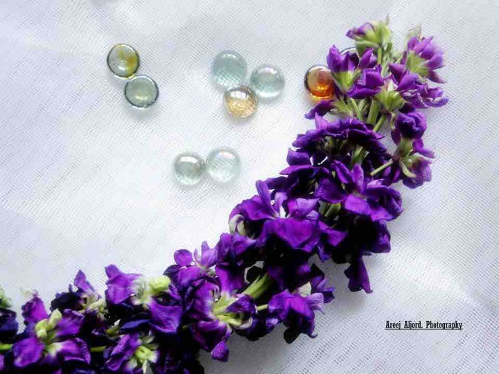 Purple ..