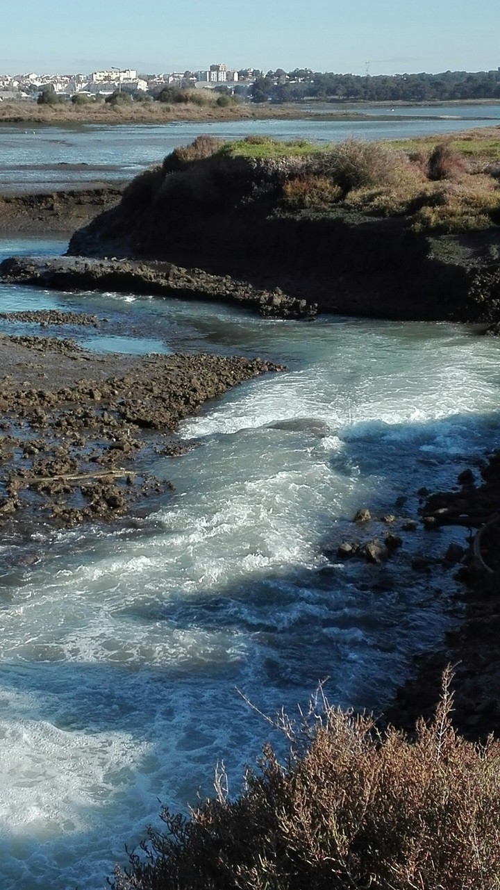 Água