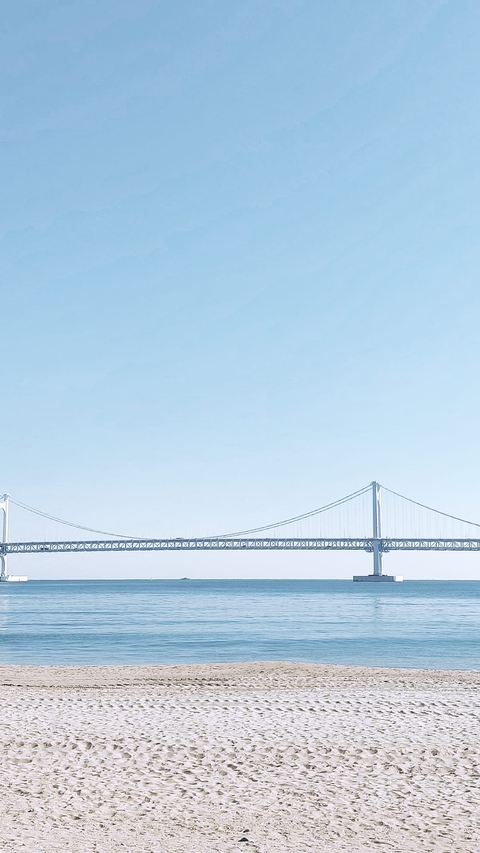 sea and bridge