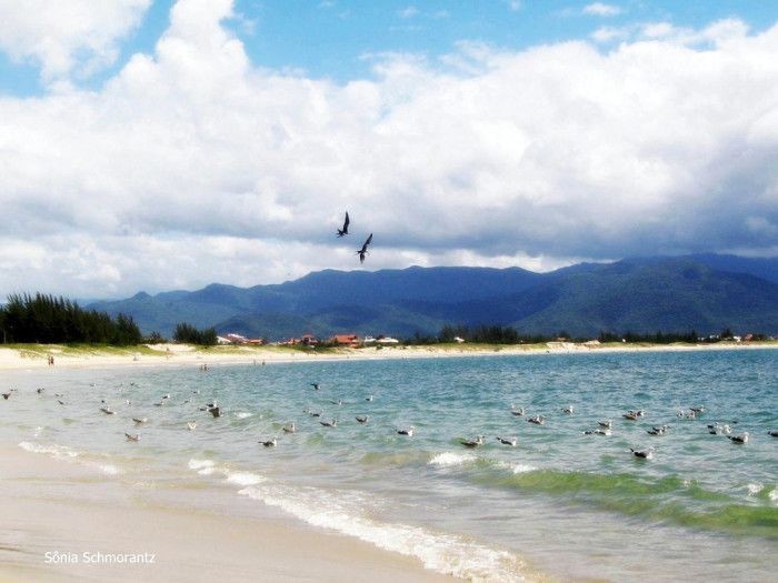 Praia Grande do Sul