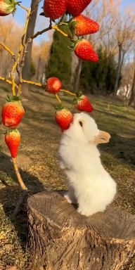 Nature.
