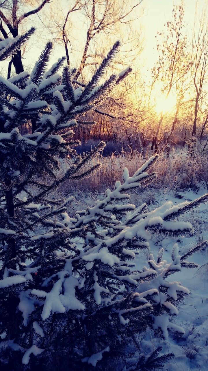 winter