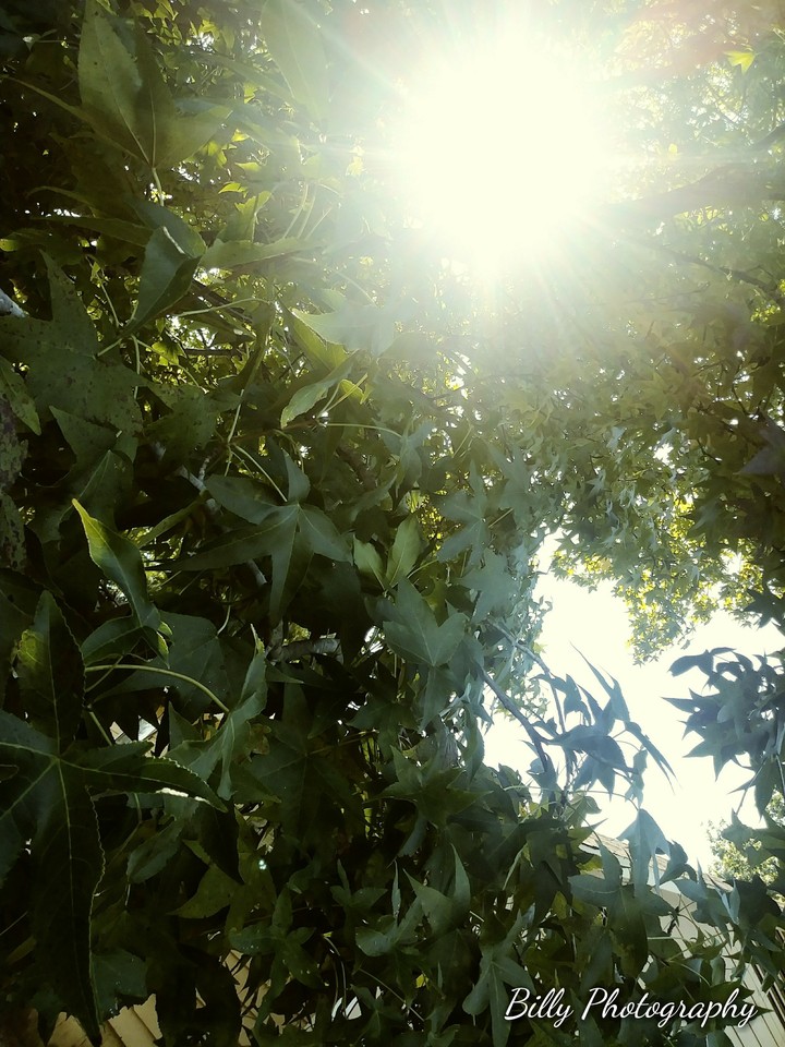 billy photography