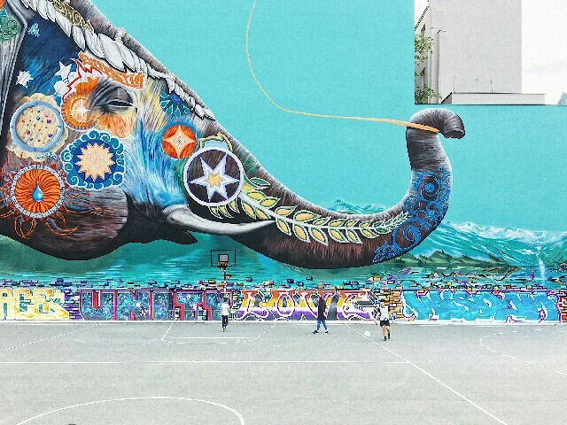 elephant