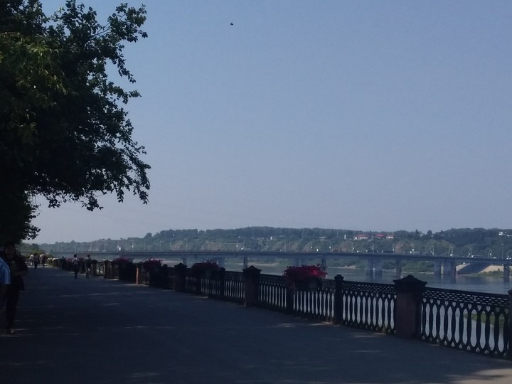 summer landscape