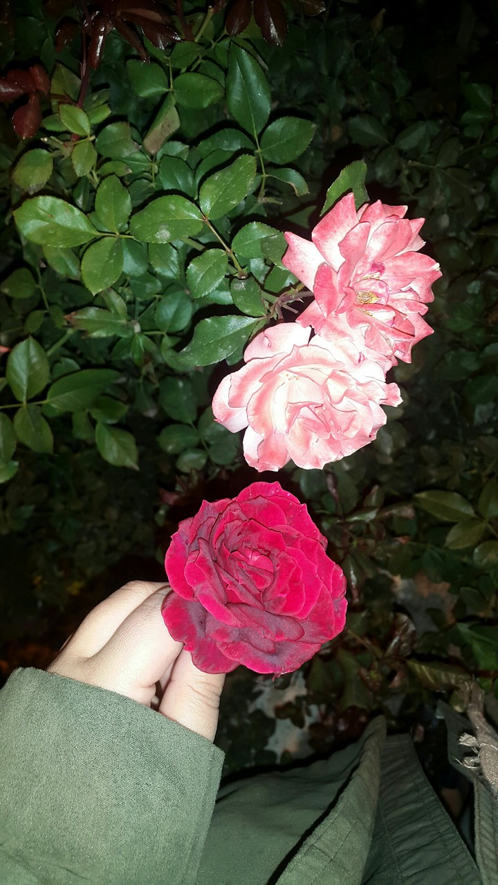 ??