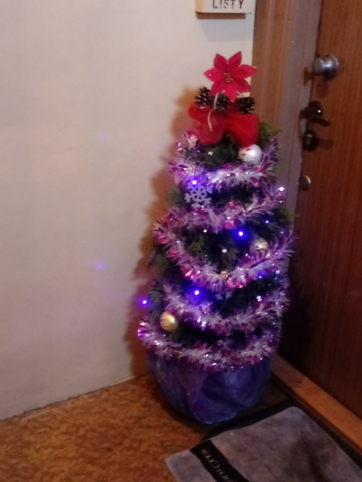 choinka świąteczna