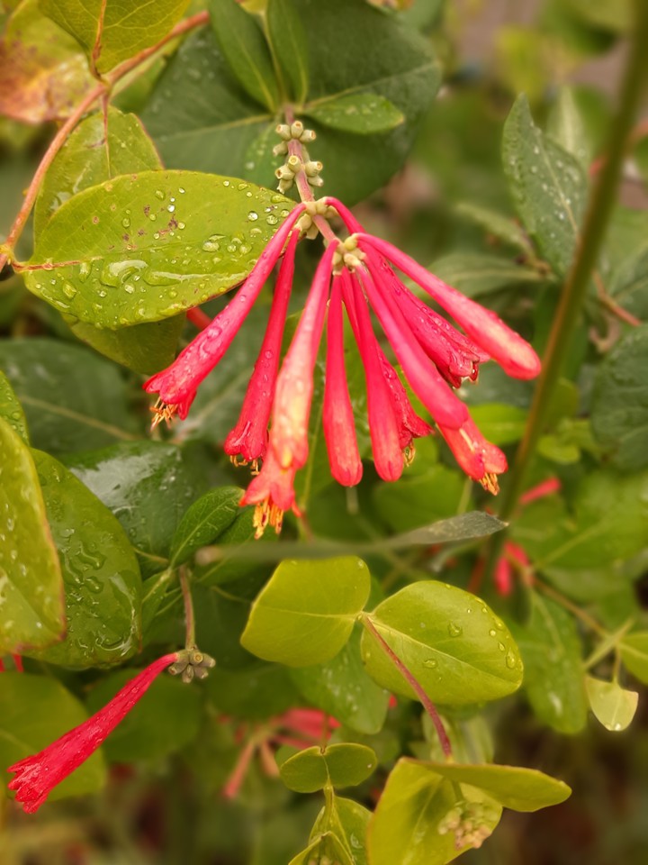 After rain